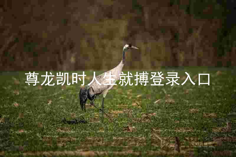 尊龙凯时人生就搏登录入口